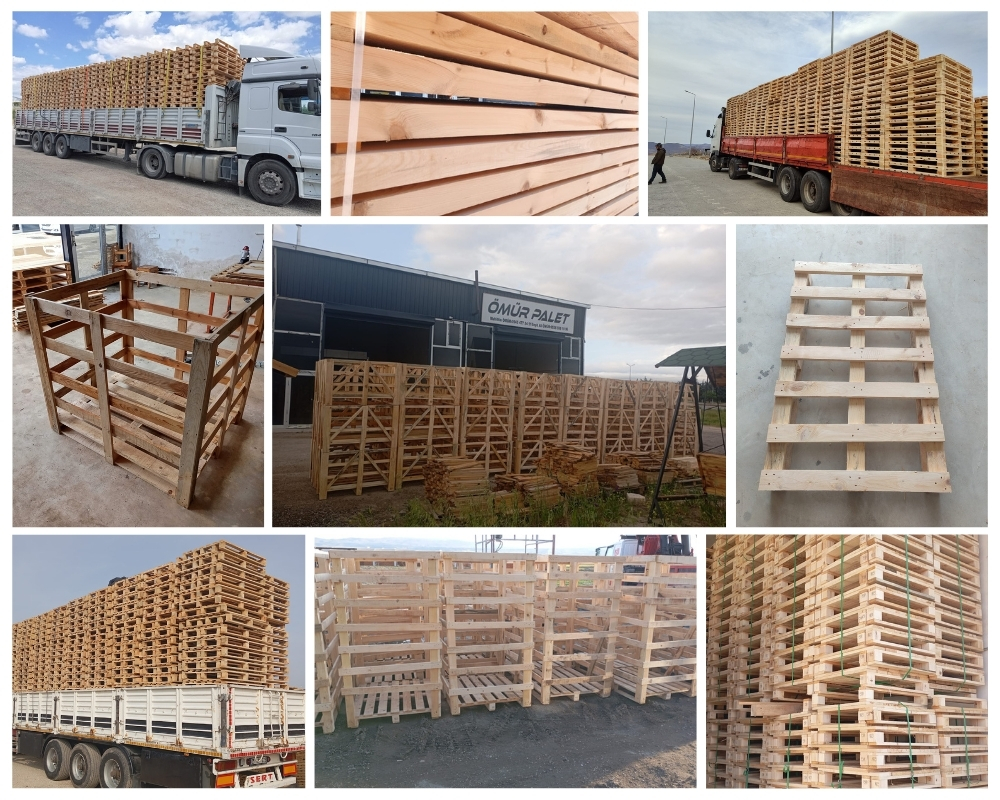 Bridport Wooden Pallets, Buy Wooden Pallets Wholesale